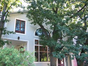 The house, seen from the street