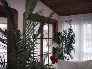 Northwest corner of the room being rented